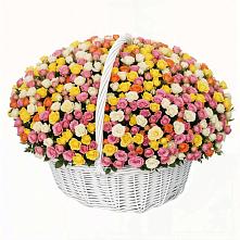 Премиум букет из: Розы #REPLACE_PRED# Туголесский Бор