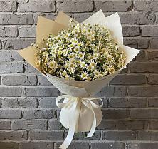 Букет цветов из:  Ромашки в Туголесский Бор