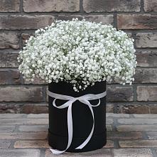 Цветочная композиция из Гипсофила в шляпной коробке в Туголесский Бор