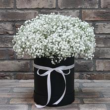 Цветочная композиция из Гипсофила в шляпной коробке в Туголесский Бор