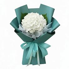 Букет цветов из:  Гортензия в Туголесский Бор